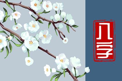 排盘报告阅读顺序