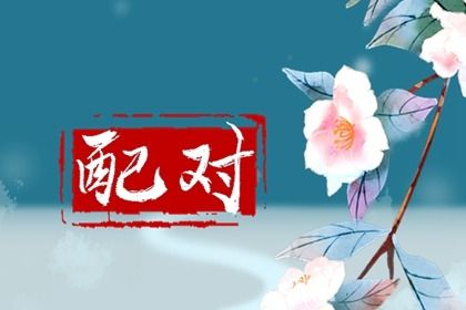 什么是八字合婚？